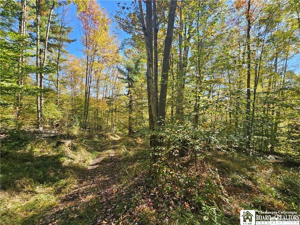 0 Willow Brook Road Little Genesee, NY 14754 - Photo 15 of 20