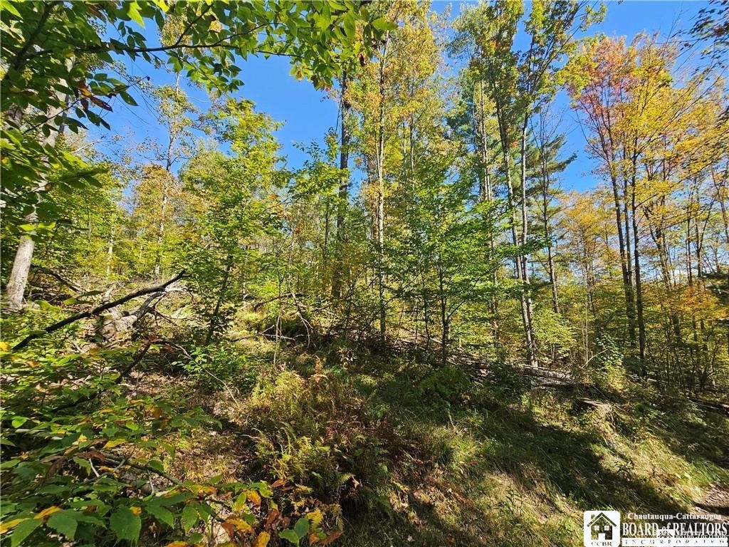 0 Willow Brook Road Little Genesee, NY 14754 - Photo 16 of 20