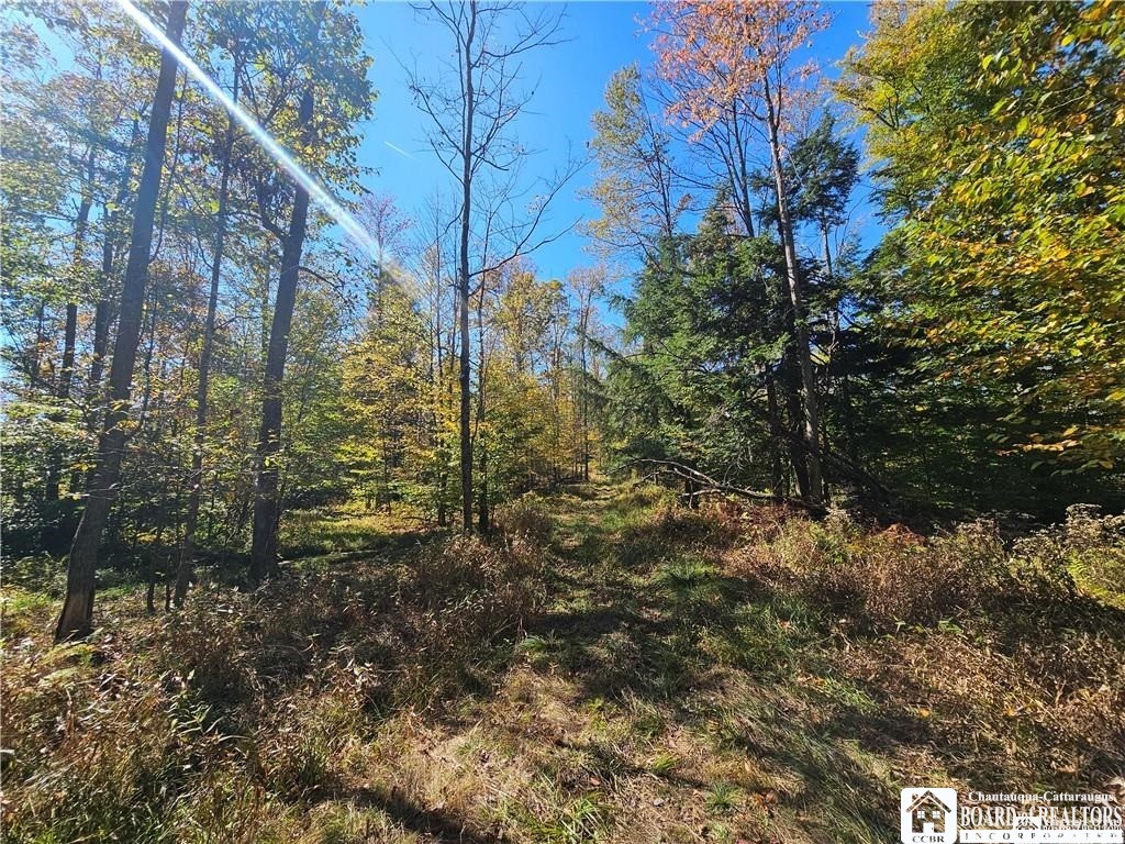 0 Willow Brook Road Little Genesee, NY 14754 - Photo 17 of 20