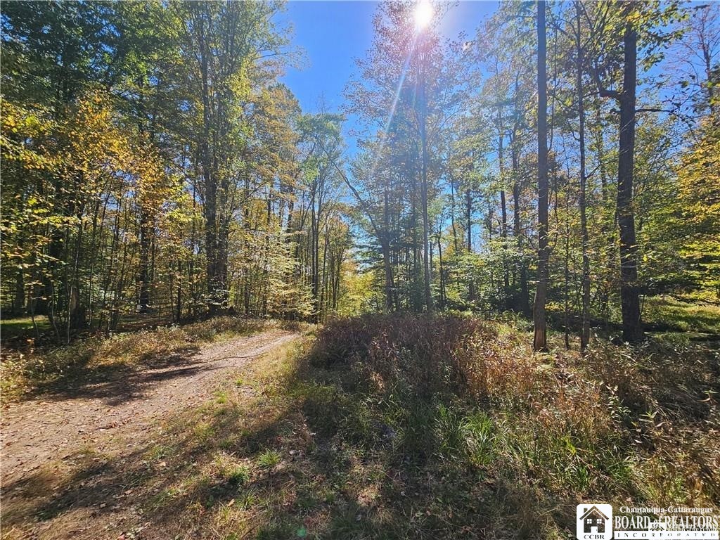 0 Willow Brook Road Little Genesee, NY 14754 - Photo 18 of 20