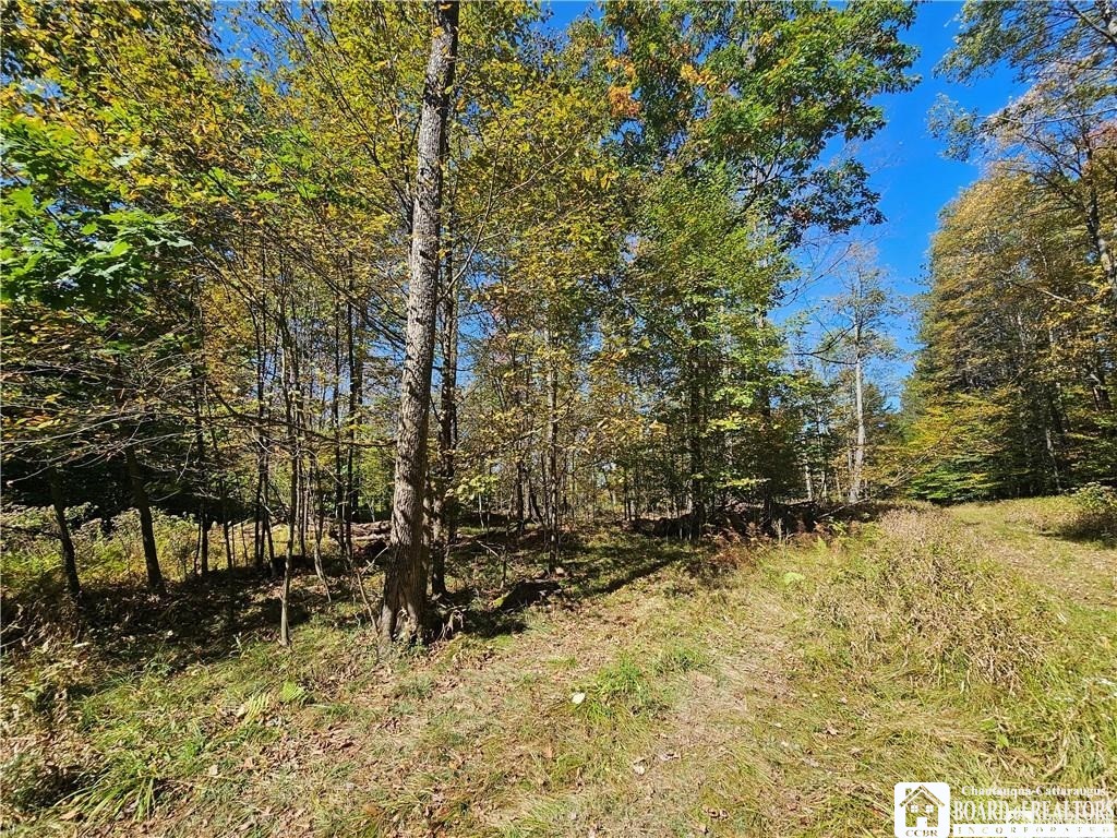 0 Willow Brook Road Little Genesee, NY 14754 - Photo 19 of 20