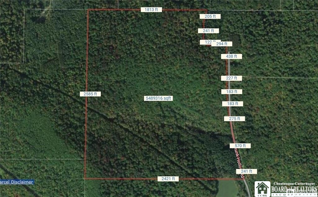 0 Willow Brook Road Little Genesee, NY 14754 - Photo 20 of 20