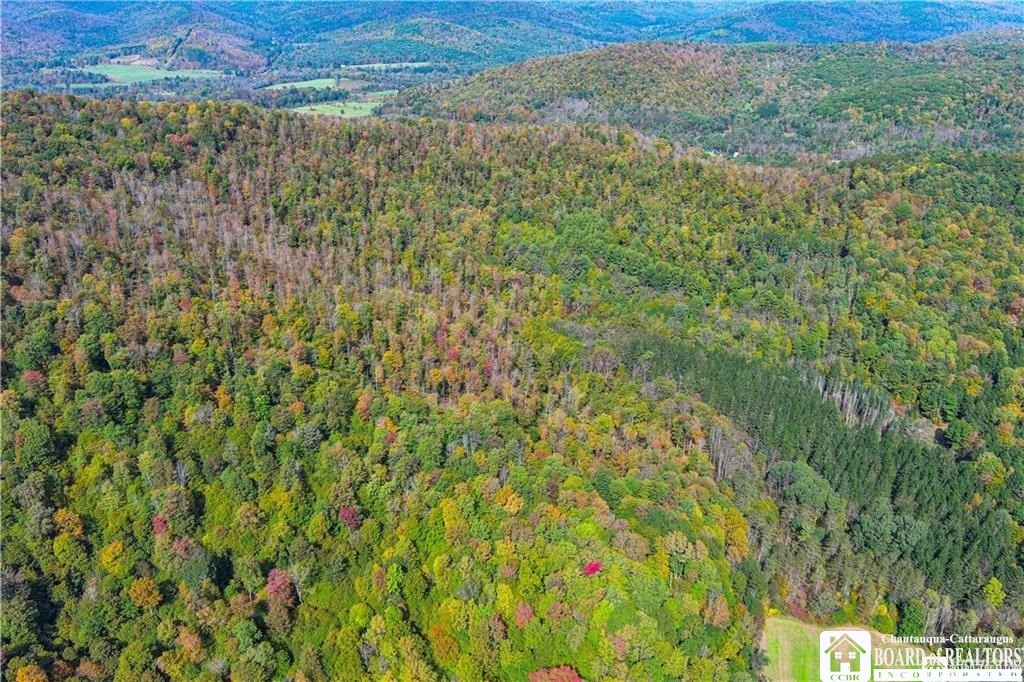 0 Willow Brook Road Little Genesee, NY 14754 - Photo 2 of 20