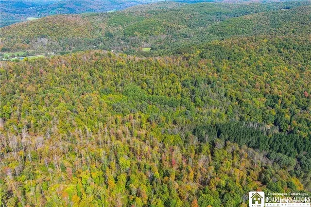 $175,000 | 0 Willow Brook Road, Little Genesee, NY 14754