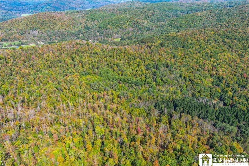 0 Willow Brook Road Little Genesee, NY 14754 - Photo 3 of 20