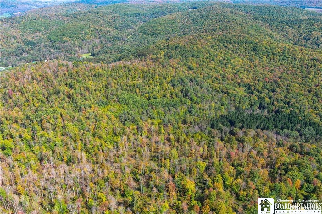 0 Willow Brook Road Little Genesee, NY 14754 - Photo 4 of 20