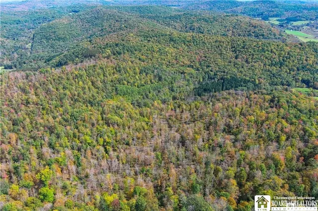 $175,000 | 0 Willow Brook Road, Little Genesee, NY 14754