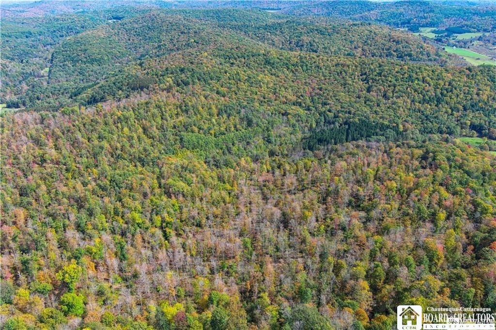 0 Willow Brook Road Little Genesee, NY 14754 - Photo 5 of 20