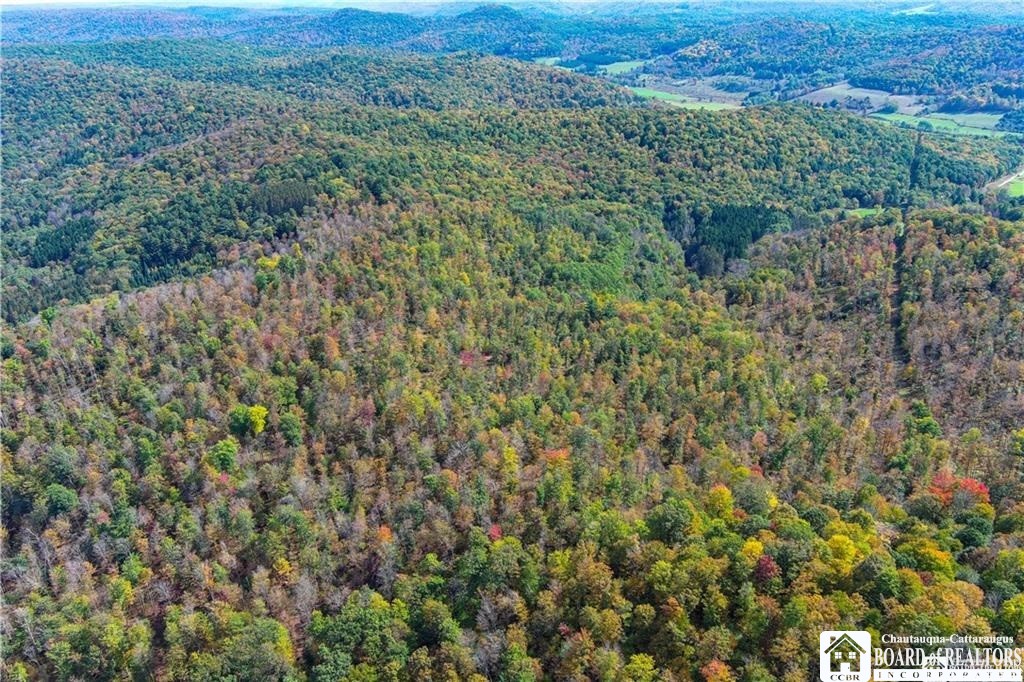 0 Willow Brook Road Little Genesee, NY 14754 - Photo 6 of 20