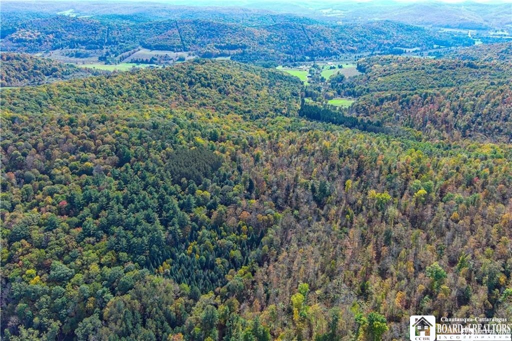 0 Willow Brook Road Little Genesee, NY 14754 - Photo 8 of 20