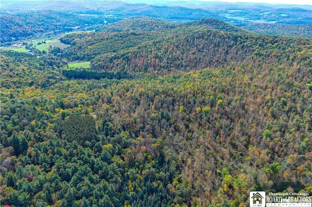 0 Willow Brook Road Little Genesee, NY 14754 - Photo 9 of 20