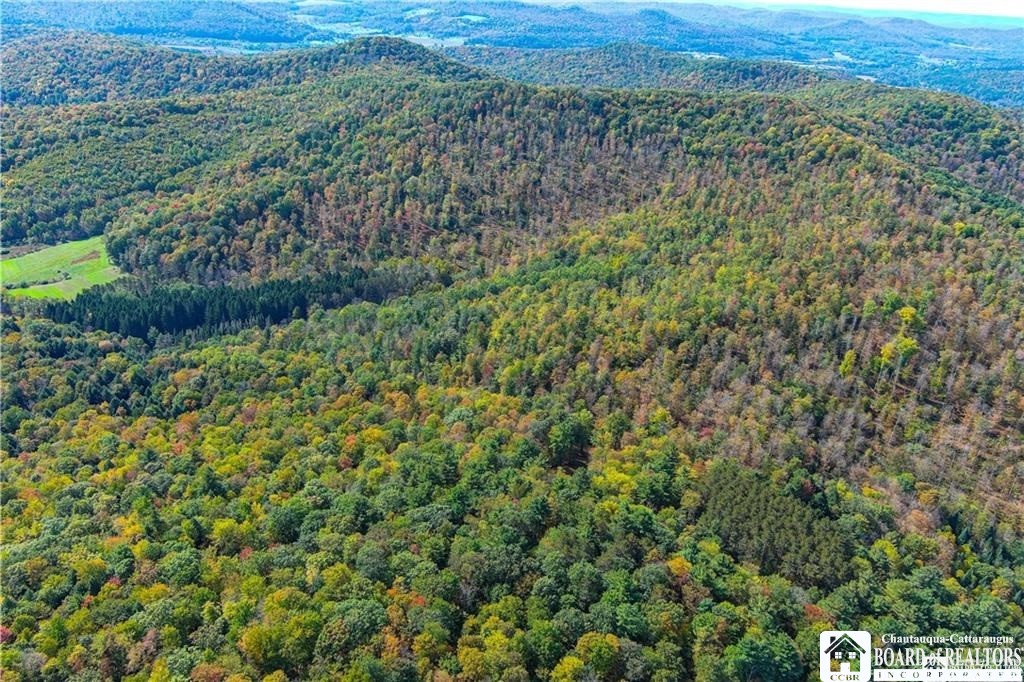 0 Willow Brook Road Little Genesee, NY 14754 - Photo 10 of 20