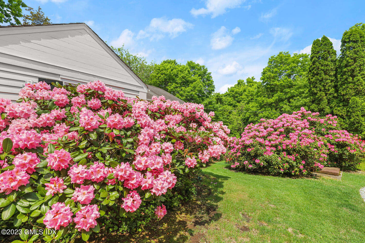 320 Cognewaugh Road Cos Cob, CT 06807 - Photo 29 of 38 a picture of flowers