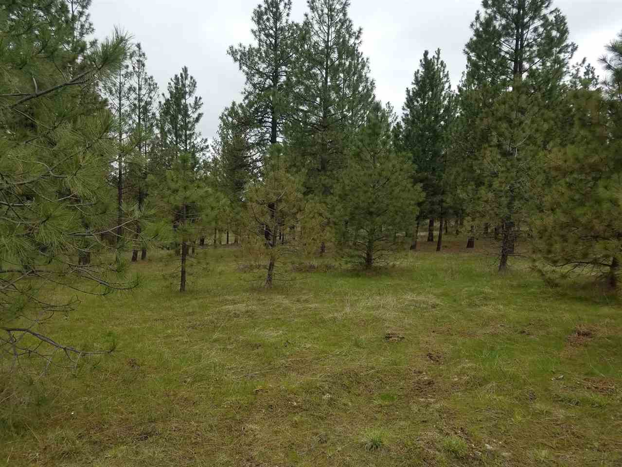 14200 East Nelson Road, Unit LOT 2 Elk, WA 99009 - Photo 3 of 5