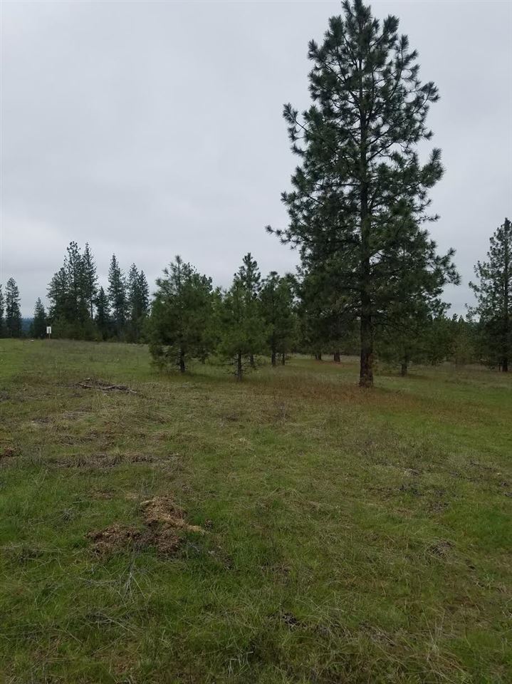 14200 East Nelson Road, Unit LOT 2 Elk, WA 99009 - Photo 4 of 5