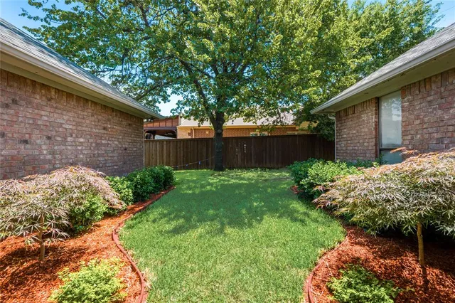a view of a backyard with plants and large tree