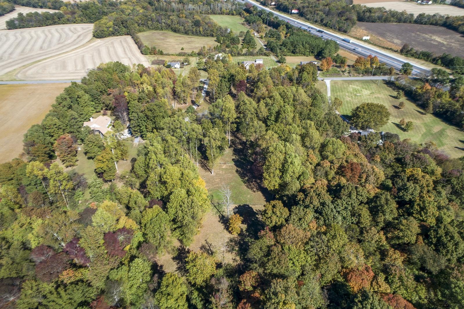 7205 Highland Road Portland, TN 37148 - Photo 24 of 29 a view of a yard with plants and large trees