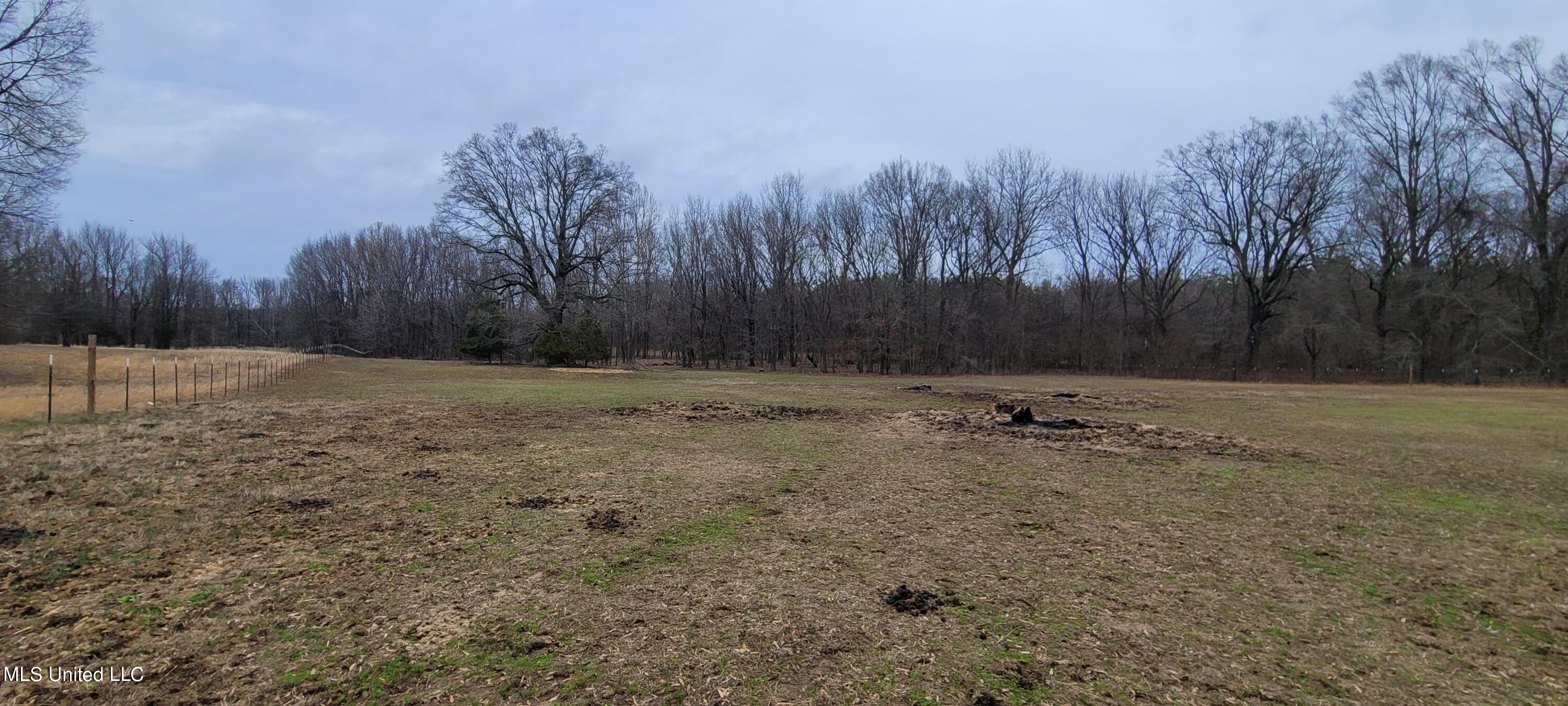 885 McClyde Road Como, MS 38619 - Photo 1 of 6 McClyde #2