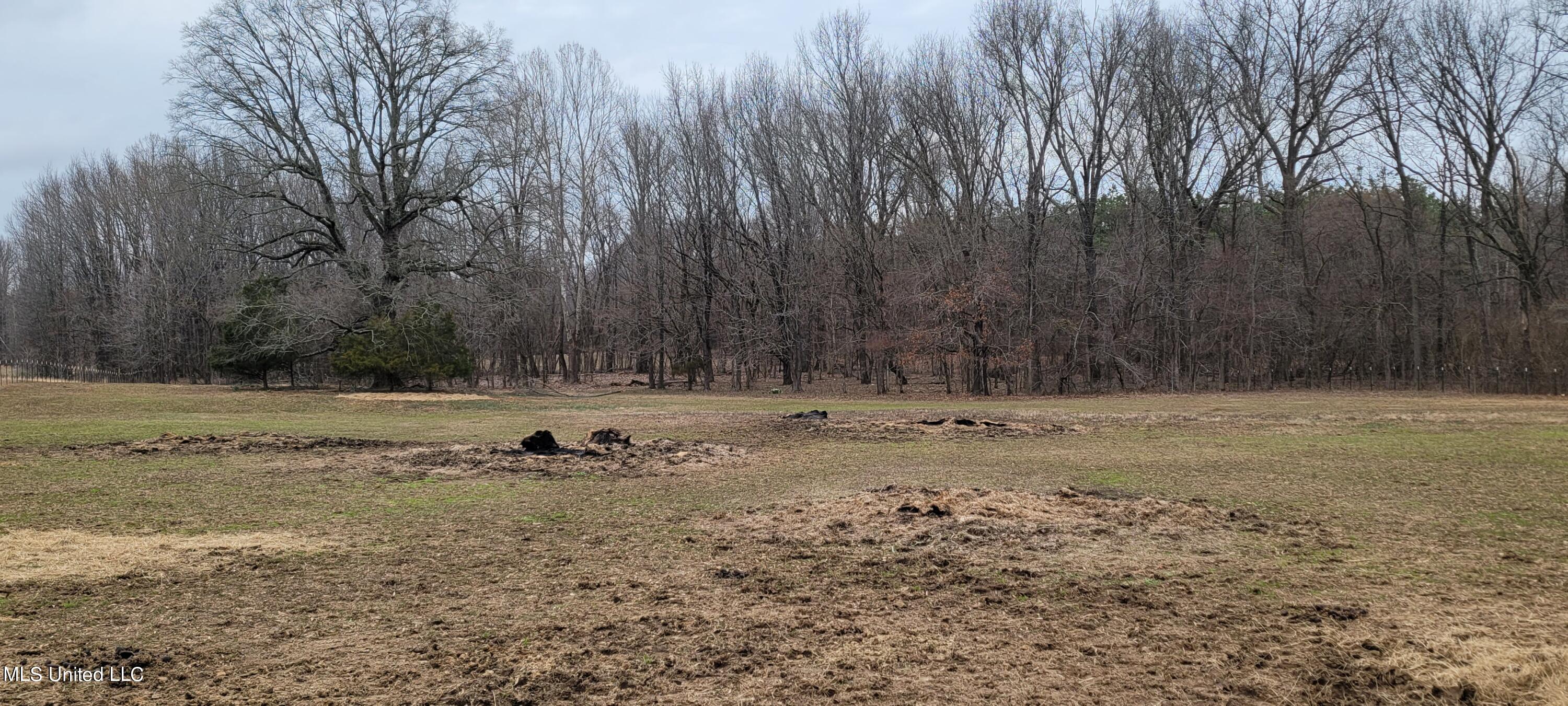 885 McClyde Road Como, MS 38619 - Photo 2 of 6 McClyde #3