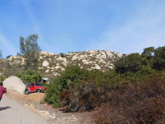 a backyard of a house with large trees