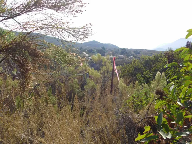 a view of a mountain in the distance in a field