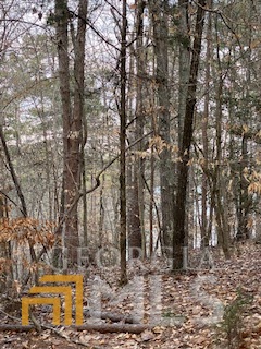 0 Bluff Road Elberton, GA 30635 - Photo 2 of 6 a view of a forest filled with trees