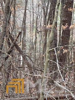 0 Bluff Road Elberton, GA 30635 - Photo 3 of 6