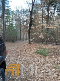 0 Bluff Road Elberton, GA 30635 - Photo 5 of 6 a backyard of a house with lots of green space