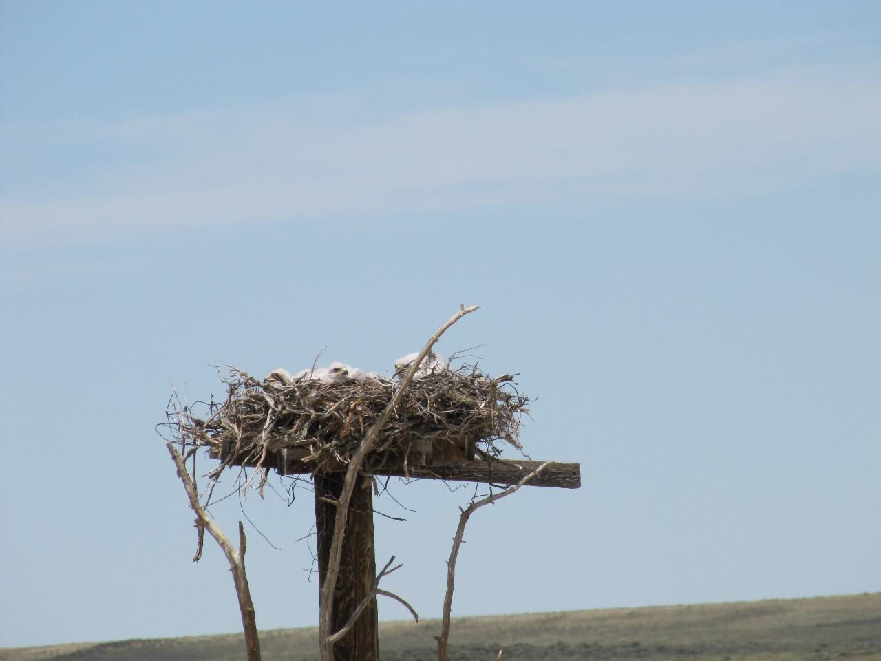 Shamrock Road Rawlins, WY 82301 - Photo 15 of 30