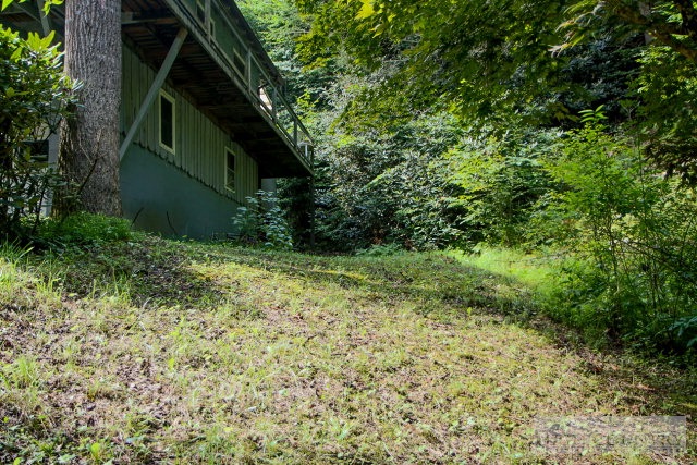 321 Wes Randall Road Deep Gap, NC 28618 - Photo 3 of 13 Gallery Image 3