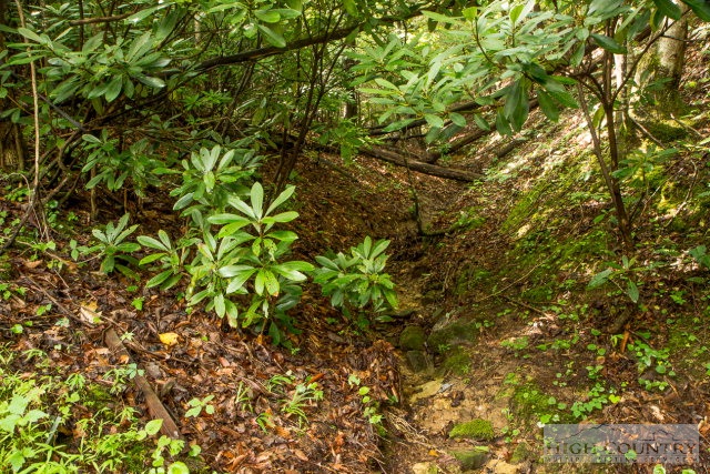 321 Wes Randall Road Deep Gap, NC 28618 - Photo 5 of 13 Gallery Image 5