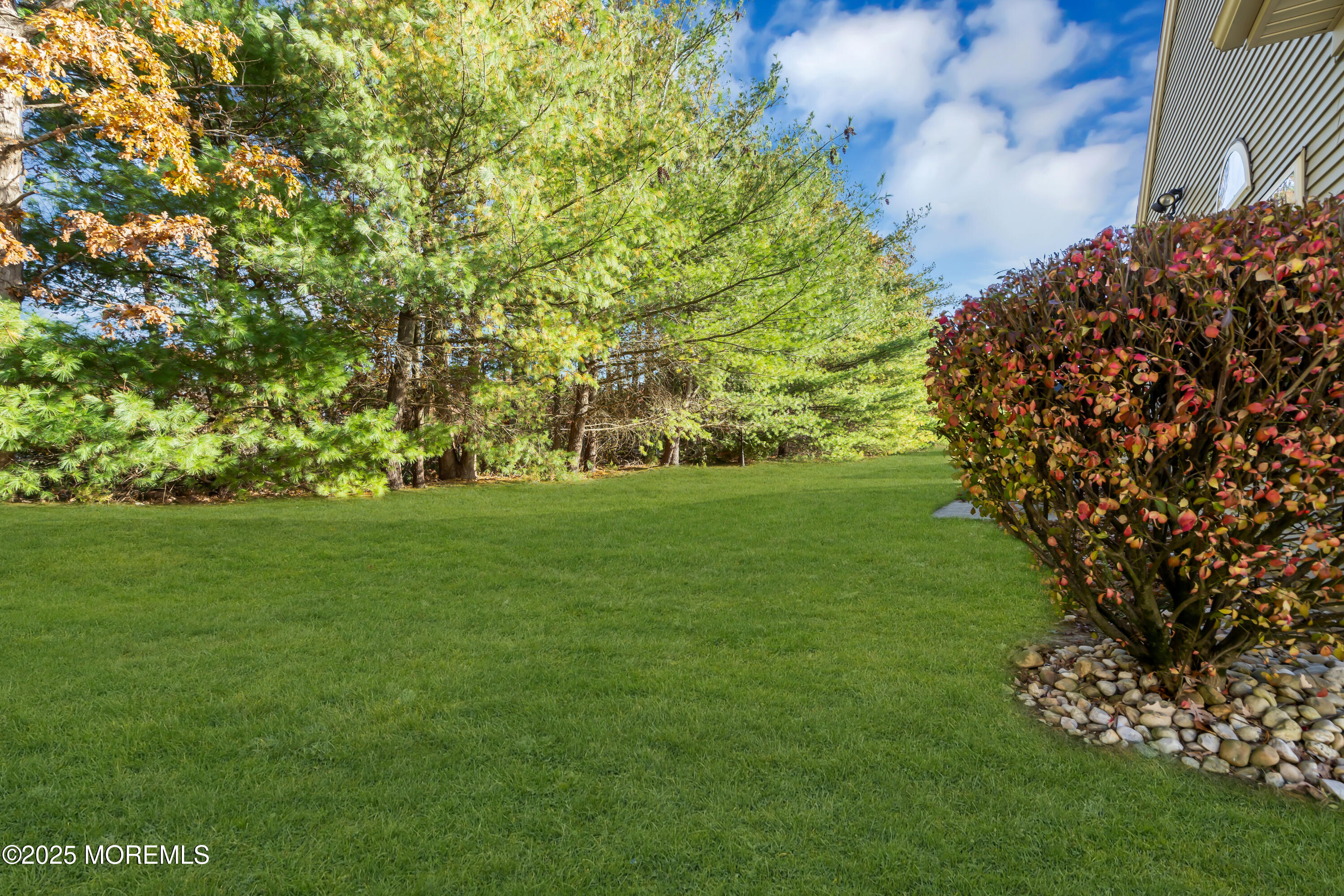 60 Eleanor Road Manchester Township, NJ 08759 - Photo 4 of 45 a garden with a tree