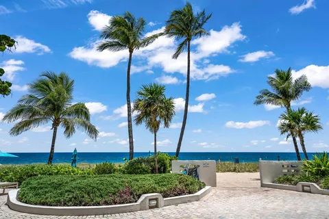 a view of outdoor space with palm trees