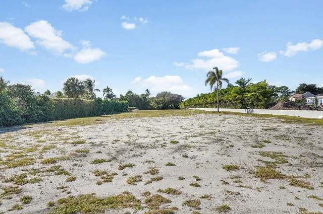 a view of a yard with an trees