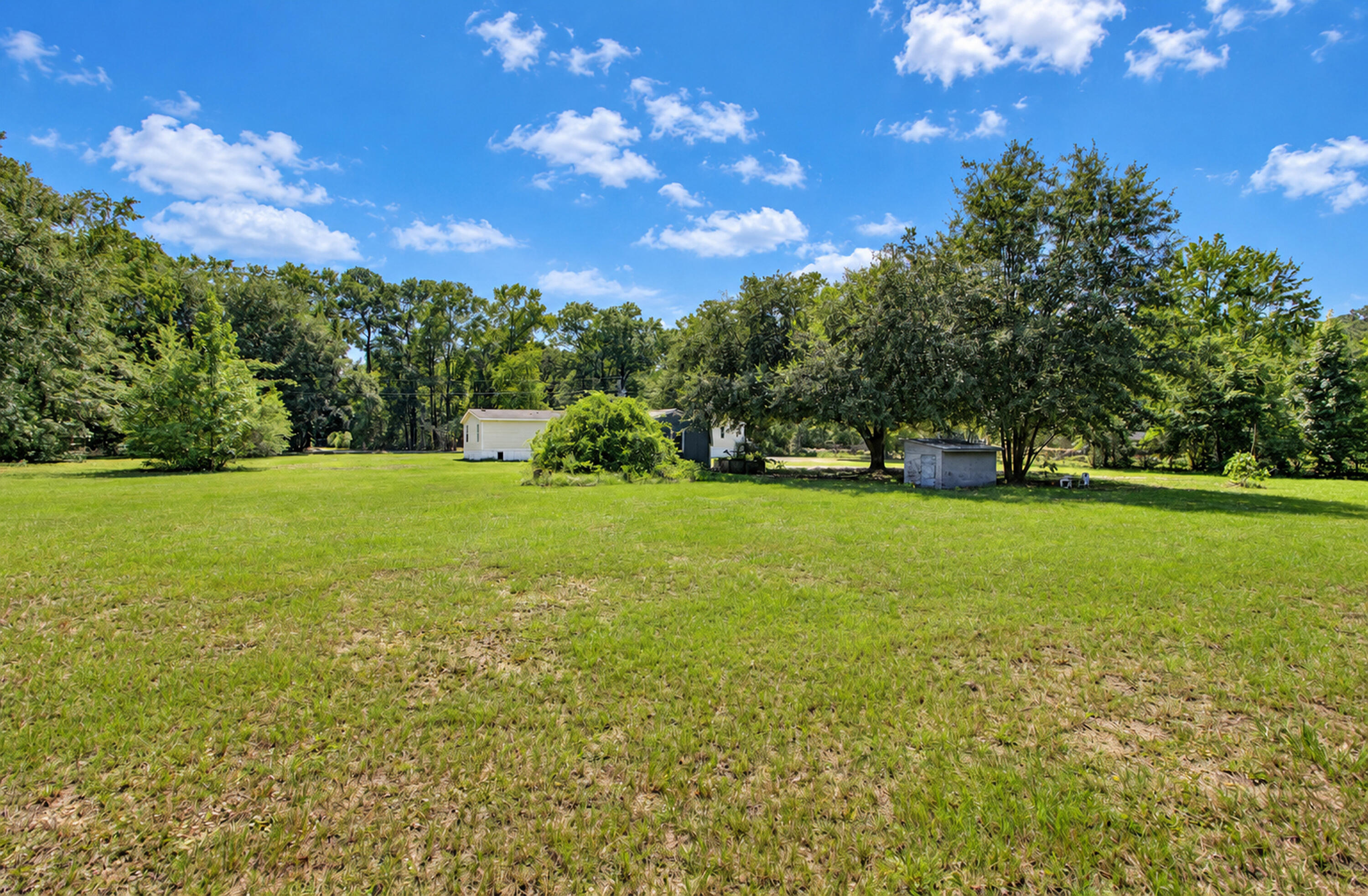 6230 Hyde Park Road Ravenel, SC 29470 - Photo 14 of 59 Yard