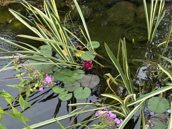 $379,900 | 5304 Floralwood Court, Plainfield, IL 60586