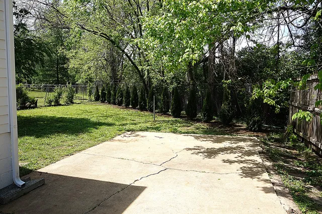 a view of a yard with plants and trees