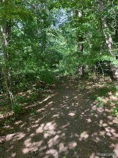 5880 Falkenbury Road North Branch, MI 48461 - Photo 47 of 48 Gallery Image 47
