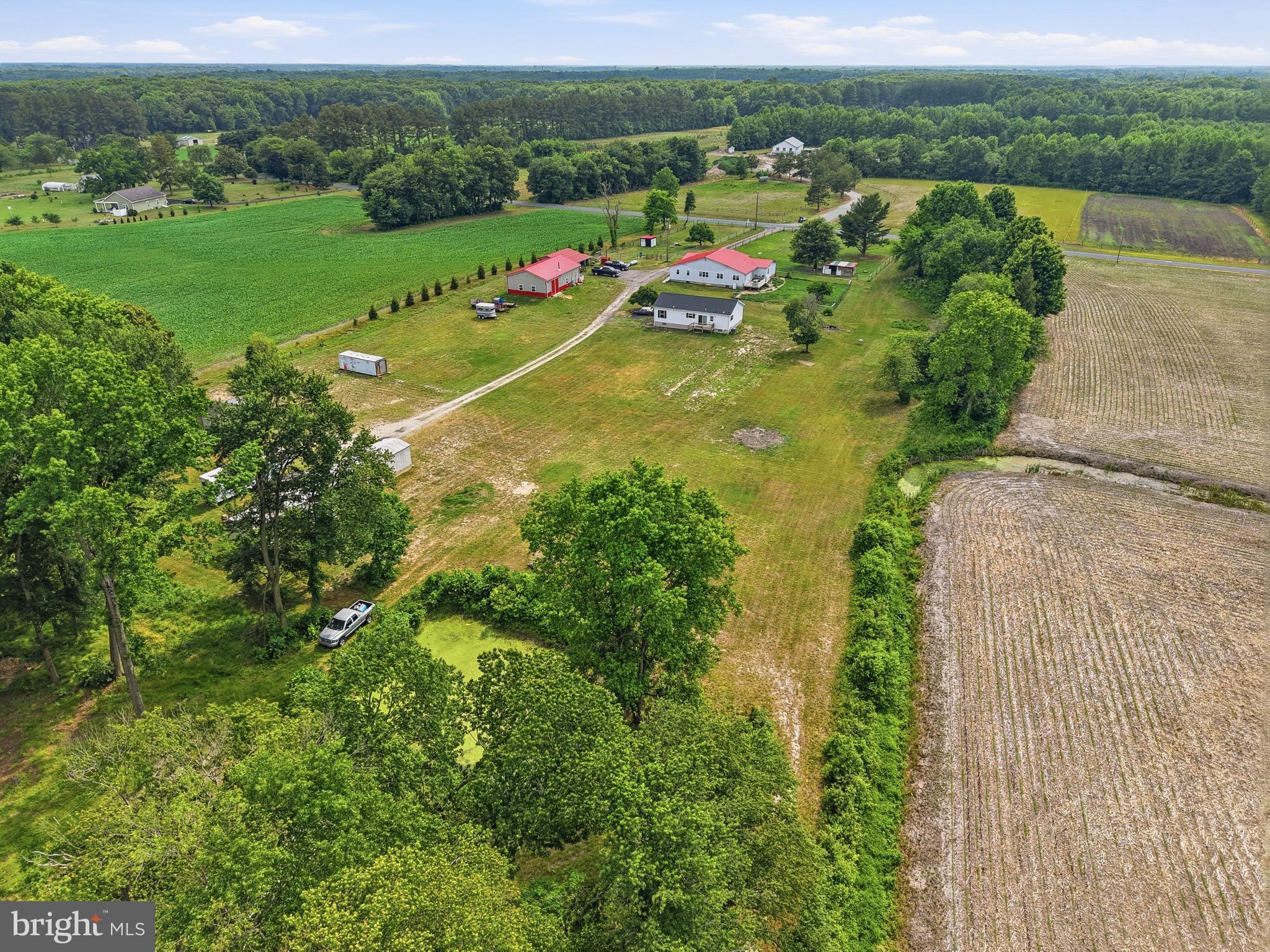 420 Duhamel Corner Road Marydel, MD 21649 - Photo 9 of 90