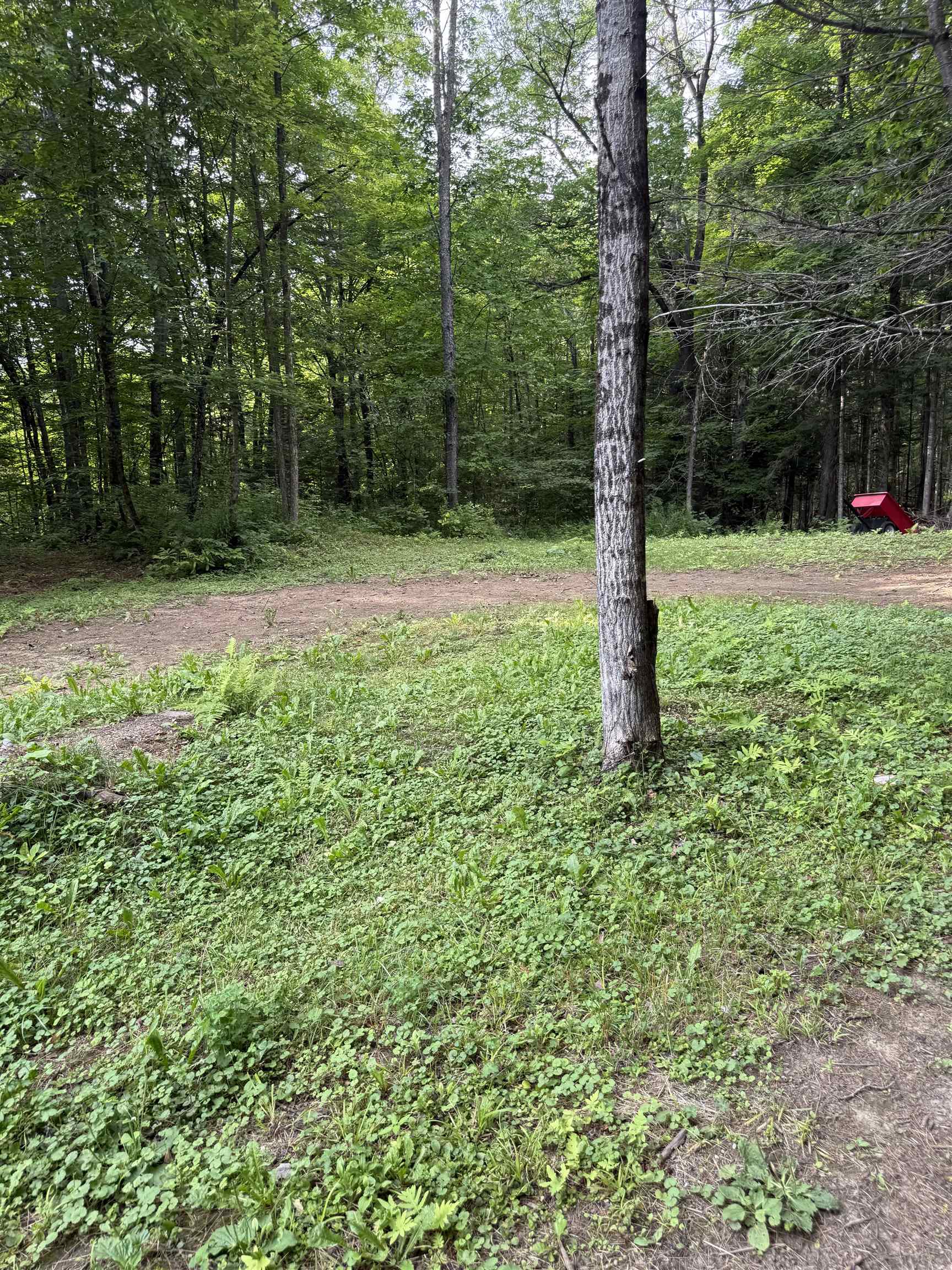 7 Pine Road Milan, NH 03588 - Photo 24 of 27 Gallery Image 24