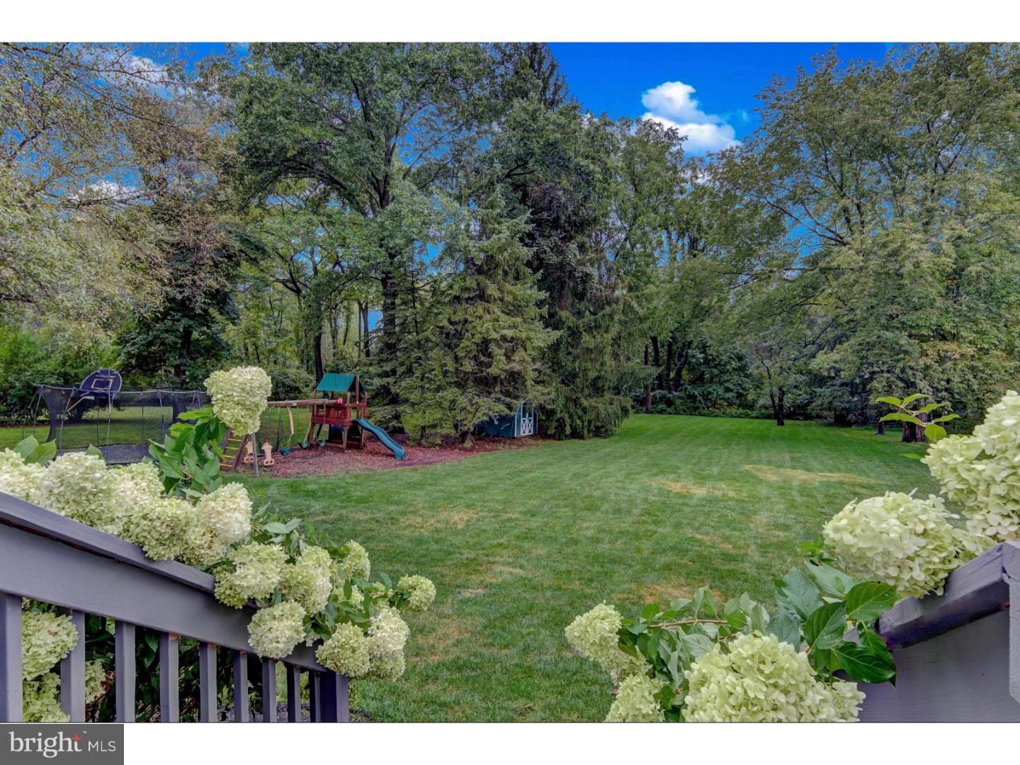 179 Old State Road Berwyn, PA 19312 - Photo 4 of 25 Back Yard