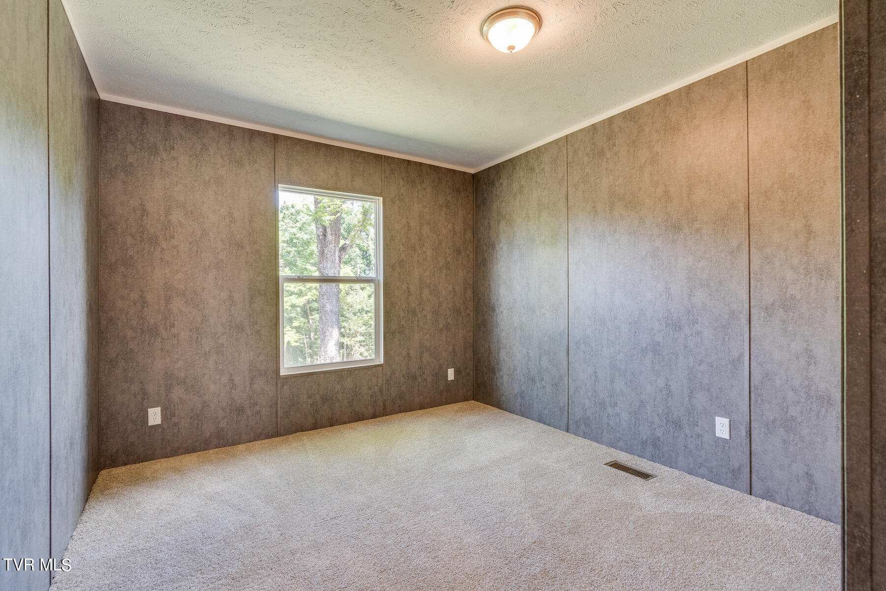 341 Haw Ridge Road Piney Flats, TN 37686 - Photo 35 of 68 028