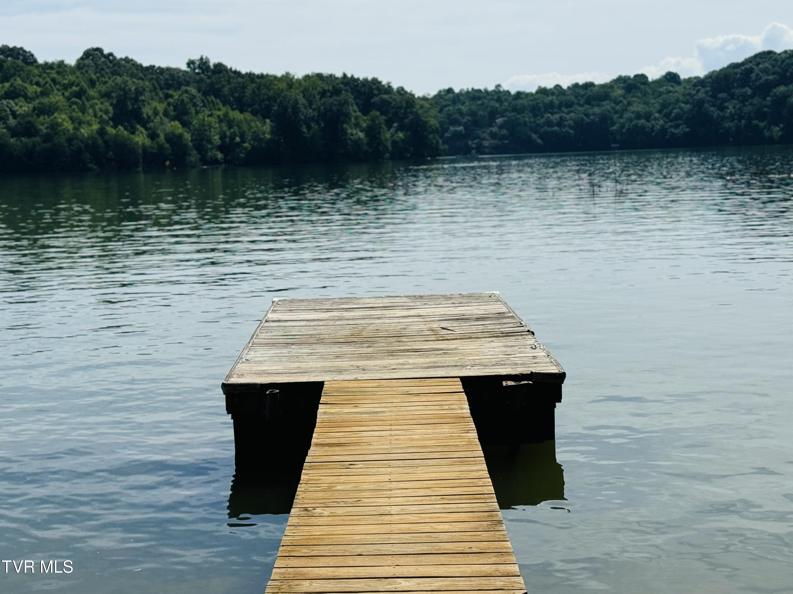 341 Haw Ridge Road Piney Flats, TN 37686 - Photo 4 of 68 IMG_1391