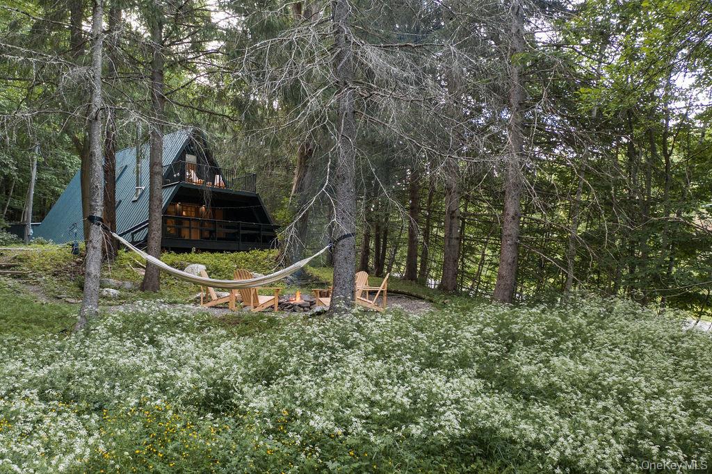 161 Pine Hill Road Shandaken, NY 12410 - Photo 2 of 39 Exterior view the house, hammock and an outdoor fire pit