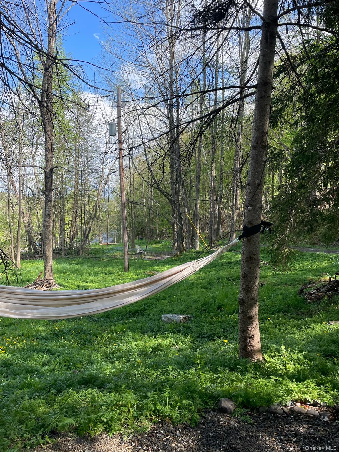 161 Pine Hill Road Shandaken, NY 12410 - Photo 3 of 39 Hammock