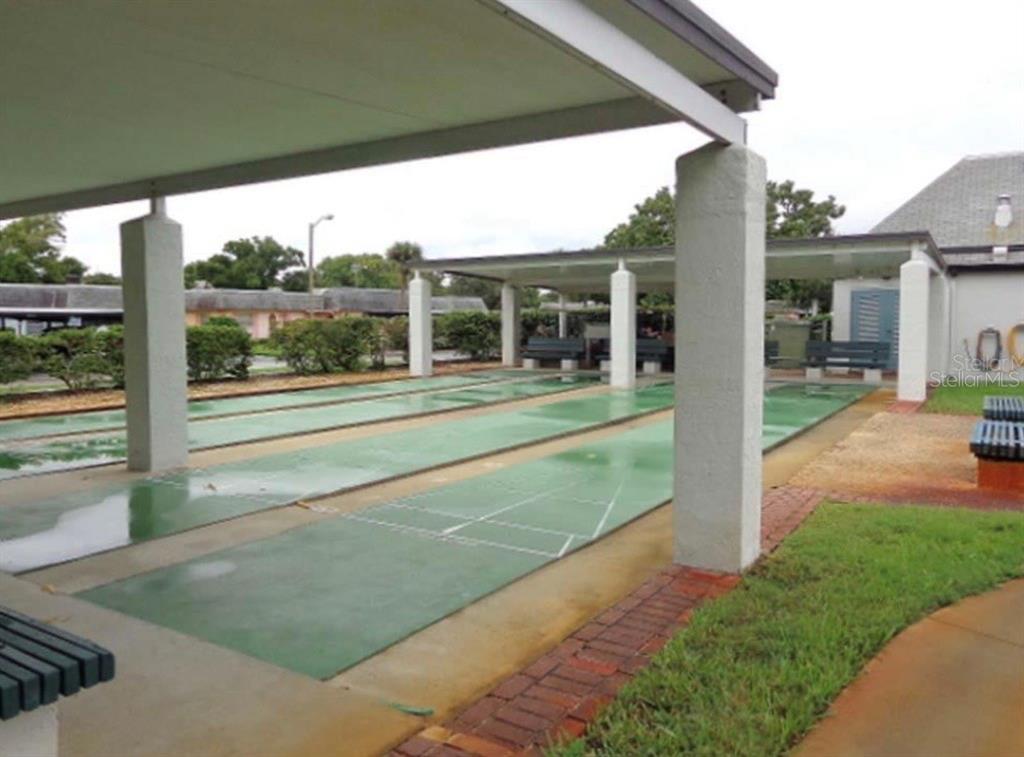 4117 Hampton Drive New Port Richey, FL 34652 - Photo 17 of 23 a view of a house with a big yard and potted plants