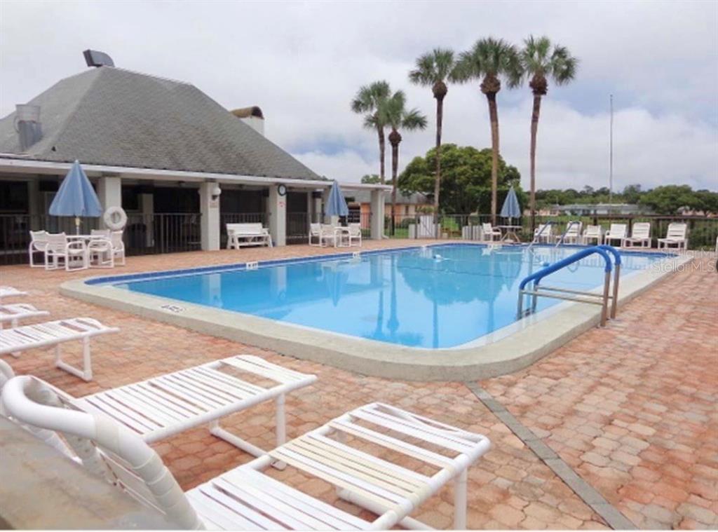 4117 Hampton Drive New Port Richey, FL 34652 - Photo 18 of 23 a view of a swimming pool with lounge chairs