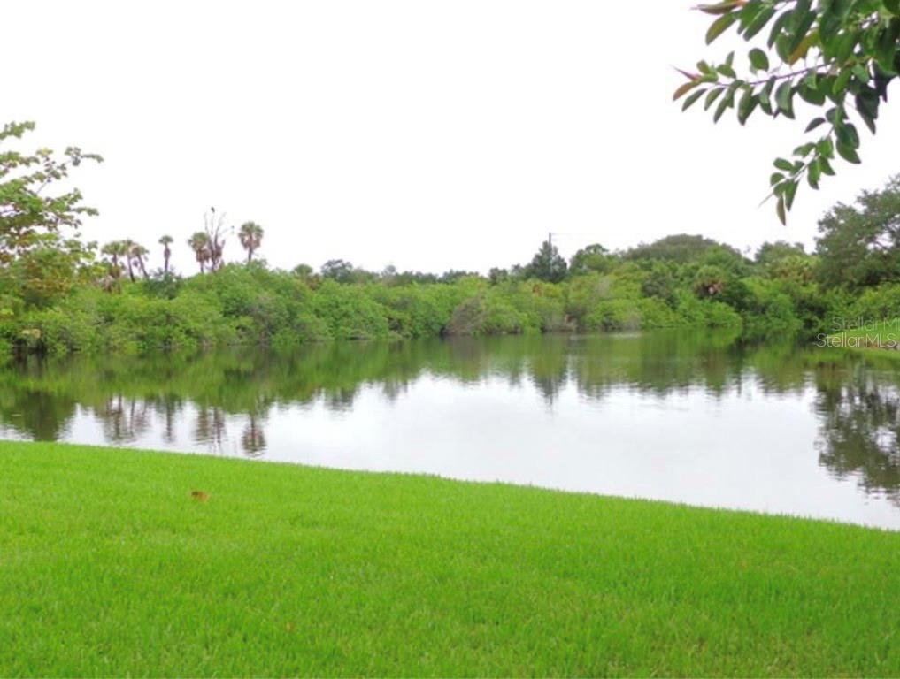 4117 Hampton Drive New Port Richey, FL 34652 - Photo 19 of 23 a view of a lake