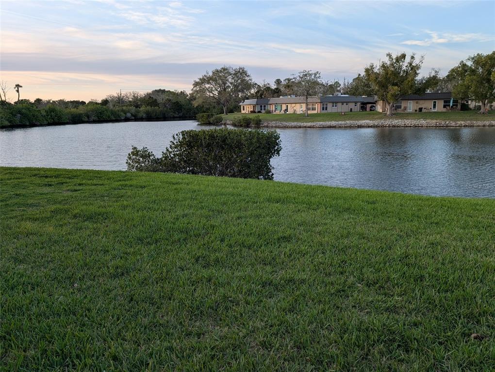4117 Hampton Drive New Port Richey, FL 34652 - Photo 22 of 23 a view of a lake from a yard