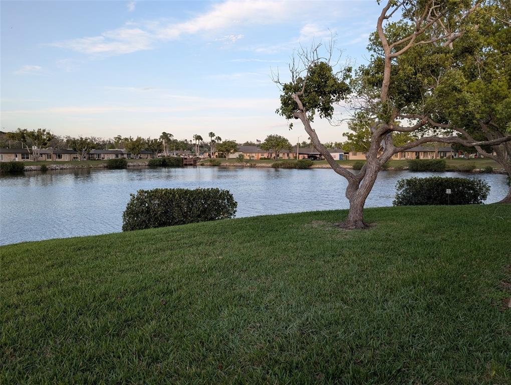 4117 Hampton Drive New Port Richey, FL 34652 - Photo 23 of 23 a view of a lake from a yard